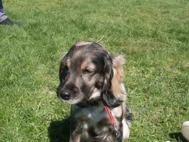 maj 2009 015.JPG maj 2009 015.JPG