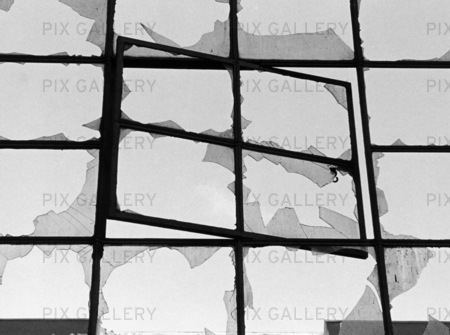 kasta sten i glashus.jpg