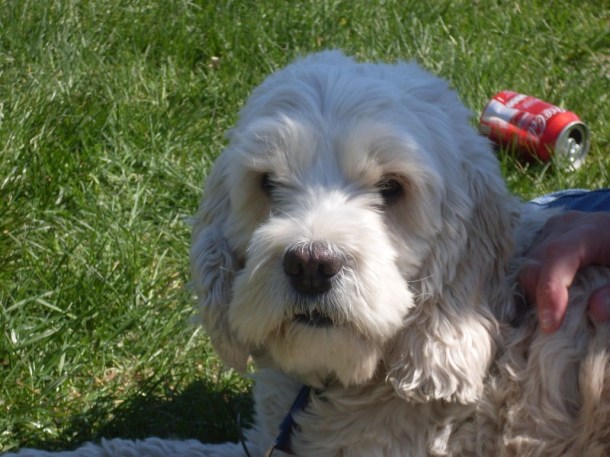 maj 2009 018.JPG maj 2009 018.JPG