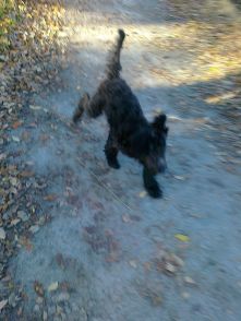 Fiona och Milton 27 oktober 2012 043