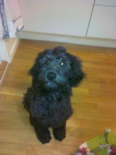 Flisa och Fiona sept 2012 016