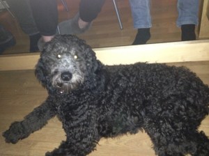 Lucas födelsedag 2013-01-06 074