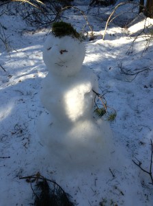 Mars 2013 (mest hundar) 001