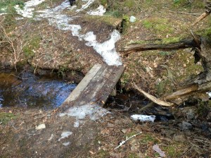 En vårdag 130420 027