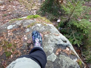 En vårdag 130420 035