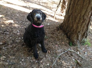 En vårdag 130420 078