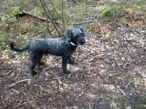 En vårdag 130420 096