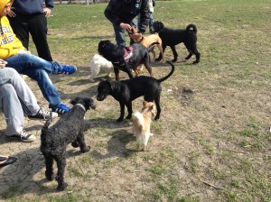 Slutet av april 2013 099