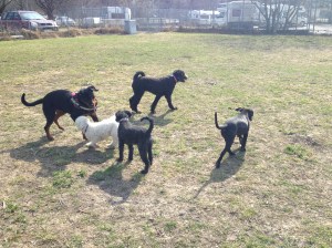 Slutet av april 2013 102