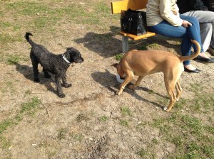 Slutet av april 2013 116