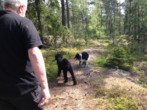 2013-05-17 promenad med Gösta2 014