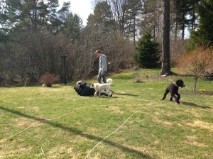 Valborg och 1 maj 2013 118