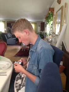 Midsommar 2013 i Sigtuna 031