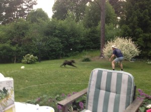 Midsommar 2013 i Sigtuna 052