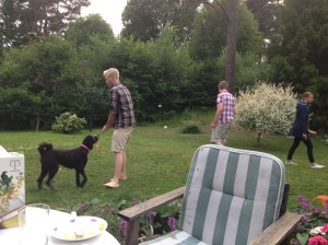 Midsommar 2013 i Sigtuna 076