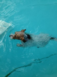 12 juli 2013 Hectors Hus 015