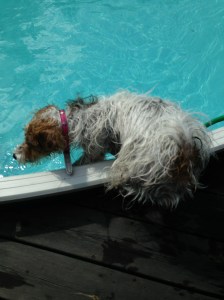 12 juli 2013 Hectors Hus 043