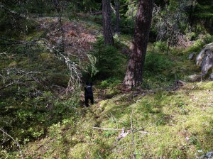 Vilse 2013-08-21 056