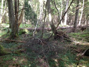 Vilse 2013-08-21 064