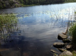 Vilse 2013-08-21 111