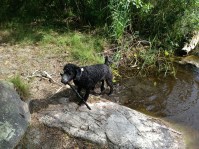 Vilse 2013-08-21 113