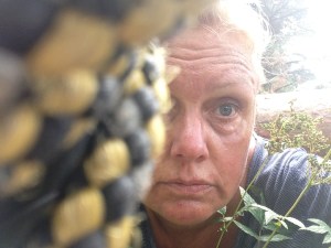 Vilse i skogen 2013-08-10 016