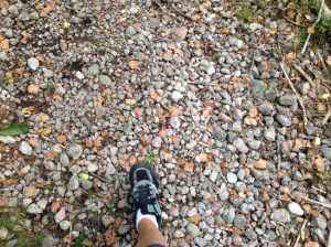 Vilse i skogen 2013-08-10 025