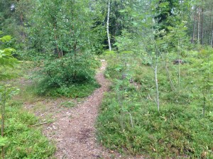 Vilse i skogen 2013-08-10 033