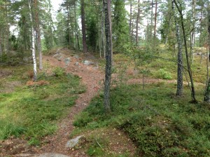 Vilse i skogen 2013-08-10 037