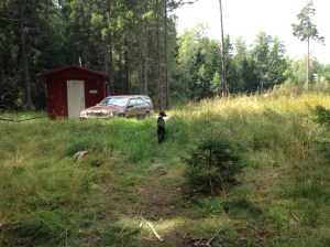 Vilse i skogen 2013-08-10 098