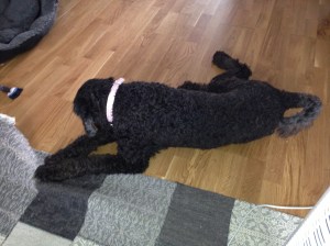 Dragkamp mellan Fiona och Milton sept - 13 019