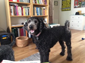 Dragkamp mellan Fiona och Milton sept - 13 031