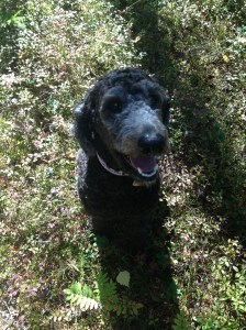 Fiona och Milton september 2013 043