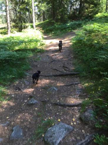 Cecilia och Milton 3