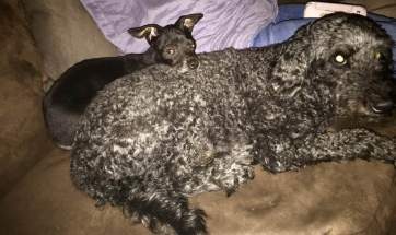 Cecilia och Milton i soffan