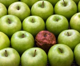 goda-applen-och-det-onda