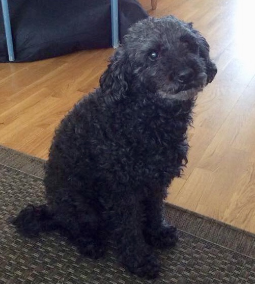 1A7DE0B9-5C8D-4AD7-BF10-29B0756513F9