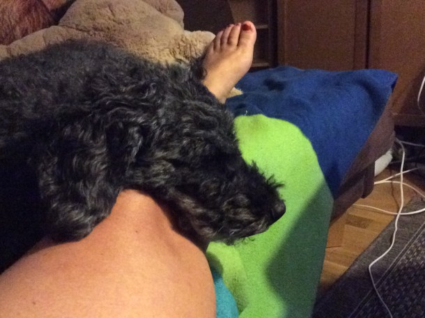 D4C19233-AD67-4FAC-BE5A-C1867AB35F46