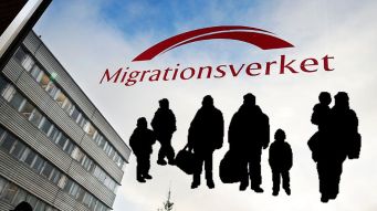 flyktingar migrationsverket.jpg